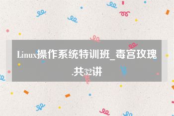 Linux操作系统特训班_毒宫玫瑰.共32讲