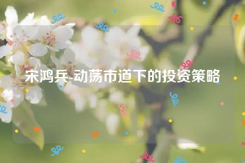 宋鸿兵-动荡市道下的投资策略