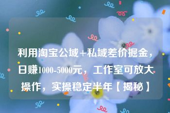 利用淘宝公域+私域差价掘金，日赚1000-5000元，工作室可放大操作，实操稳定半年【揭秘】