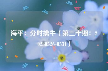 海平：分时擒牛（第三十期：20230526-0531）