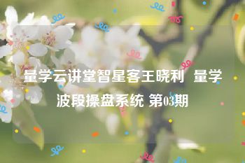 量学云讲堂智星客王晓利  量学波段操盘系统 第03期