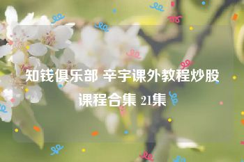知钱俱乐部 辛宇课外教程炒股课程合集 21集