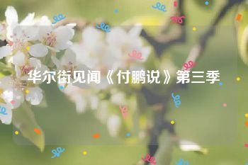 华尔街见闻《付鹏说》第三季