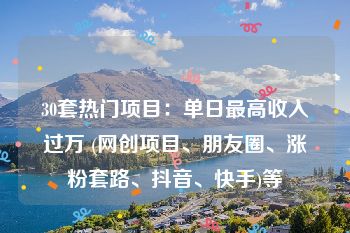 30套热门项目：单日最高收入过万 (网创项目、朋友圈、涨粉套路、抖音、快手)等