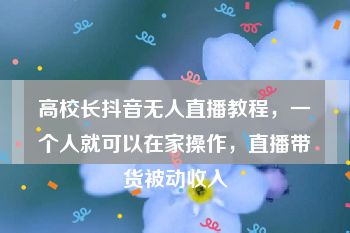 高校长抖音无人直播教程，一个人就可以在家操作，直播带货被动收入