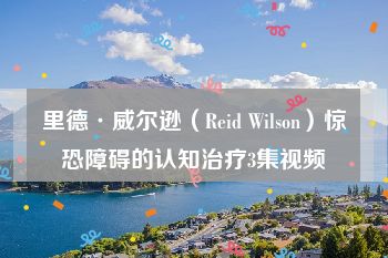 里德·威尔逊（Reid Wilson）惊恐障碍的认知治疗3集视频