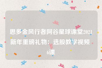 思多金风行者阿谷星球课堂2021新年重磅礼物：选股教学视频 6课