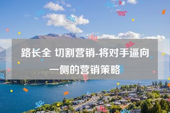 路长全 切割营销-将对手逼向一侧的营销策略