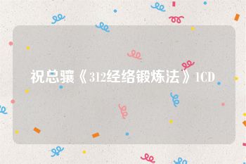 祝总骧《312经络锻炼法》1CD