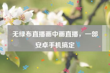 无绿布直播画中画直播，一部安卓手机搞定