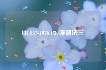 CB 857-1976 P30铸铜法兰