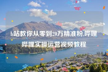 b站教你从零到20万精准粉,哔哩哔哩实操运营视频教程