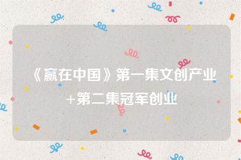 《赢在中国》第一集文创产业+第二集冠军创业