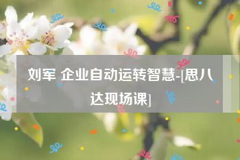 刘军 企业自动运转智慧-[思八达现场课]