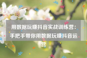 用数据玩赚抖音实战训练营：手把手带你用数据玩赚抖音运营