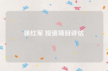 徐红军 投资项目评估