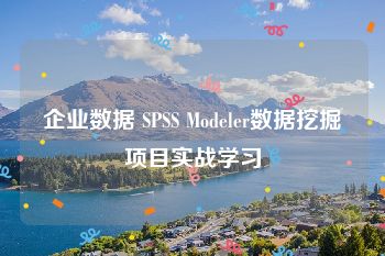 企业数据 SPSS Modeler数据挖掘项目实战学习