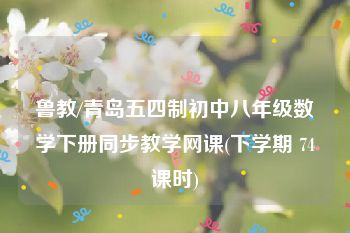 鲁教/青岛五四制初中八年级数学下册同步教学网课(下学期 74课时)