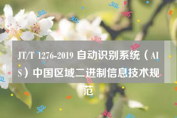 JT/T 1276-2019 自动识别系统（AIS）中国区域二进制信息技术规范