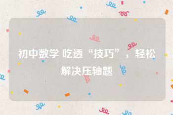 初中数学 吃透“技巧”，轻松解决压轴题