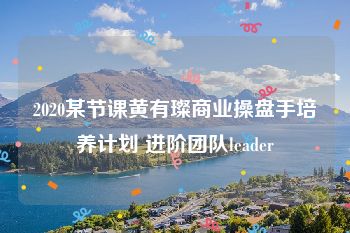 2020某节课黄有璨商业操盘手培养计划 进阶团队leader