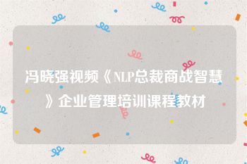 冯晓强视频《NLP总裁商战智慧》企业管理培训课程教材