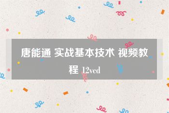 唐能通 实战基本技术 视频教程 12vcd