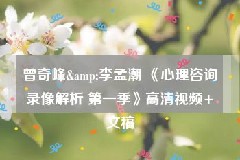 曾奇峰&李孟潮 《心理咨询录像解析 第一季》高清视频+文稿