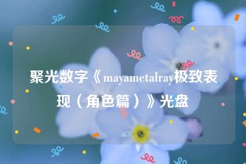 聚光数字《mayametalray极致表现（角色篇）》光盘
