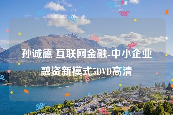孙诚德 互联网金融-中小企业融资新模式5DVD高清