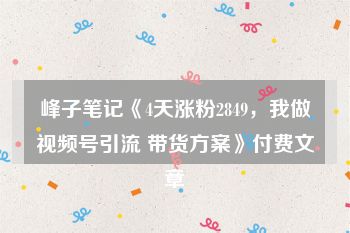 峰子笔记《4天涨粉2849，我做视频号引流 带货方案》付费文章