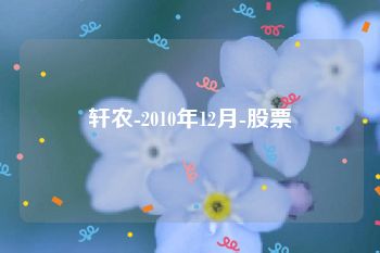 轩农-2010年12月-股票