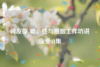 何友晖 爱、性与婚姻工作坊讲座全11集