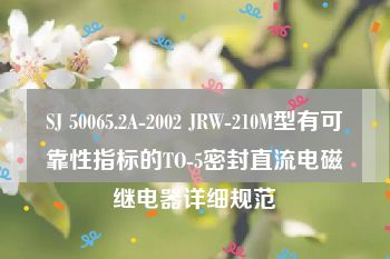 SJ 50065.2A-2002 JRW-210M型有可靠性指标的TO-5密封直流电磁继电器详细规范