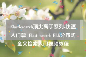 Elasticsearch顶尖高手系列-快速入门篇_Elasticsearch ELK分布式全文检索入门视频教程