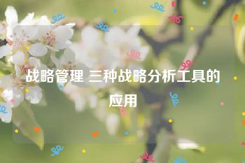 战略管理 三种战略分析工具的应用