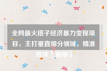全网最火搭子经济暴力变现项目，主打垂直细分领域，精准陪伴【揭秘】