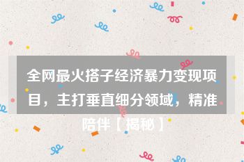 全网最火搭子经济暴力变现项目，主打垂直细分领域，精准陪伴【揭秘】