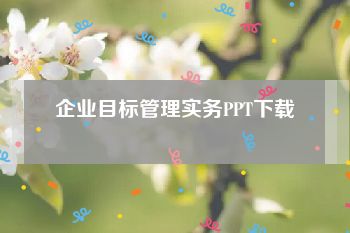 企业目标管理实务PPT下载