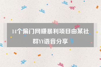 14个偏门网赚暴利项目由某社群YY语音分享