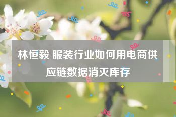 林恒毅 服装行业如何用电商供应链数据消灭库存