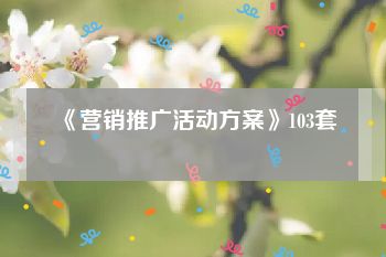 《营销推广活动方案》103套