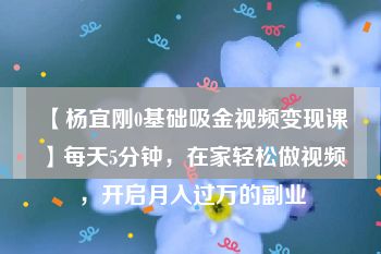 【杨宜刚0基础吸金视频变现课】每天5分钟，在家轻松做视频，开启月入过万的副业