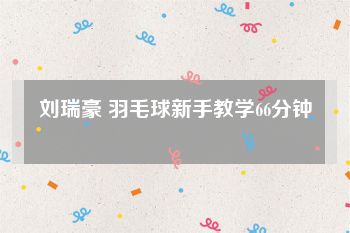 刘瑞豪 羽毛球新手教学66分钟