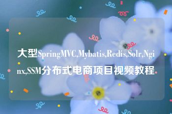 大型SpringMVC,Mybatis,Redis,Solr,Nginx,SSM分布式电商项目视频教程