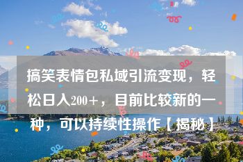 搞笑表情包私域引流变现，轻松日入200+，目前比较新的一种，可以持续性操作【揭秘】