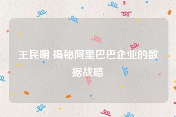 王民明 揭秘阿里巴巴企业的数据战略