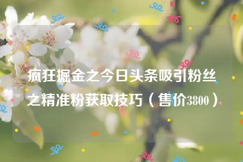疯狂掘金之今日头条吸引粉丝之精准粉获取技巧（售价3800）