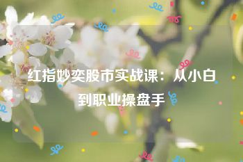 红指妙奕股市实战课：从小白到职业操盘手