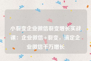 小裂变企业微信裂变增长实战课：企业微信+裂变，搞定企业微信千万增长